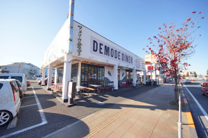 デモデダイナー