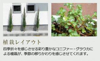 植栽レイアウト
