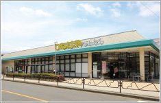 いなげや羽村富士見平店（徒歩4分）
