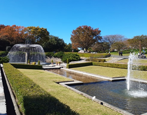 昭和記念公園