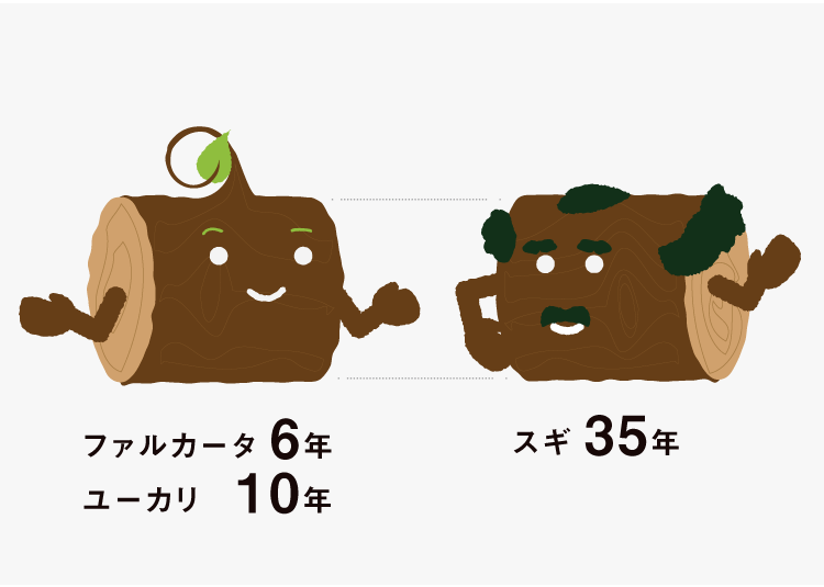 環境に配慮した木質資源の利用