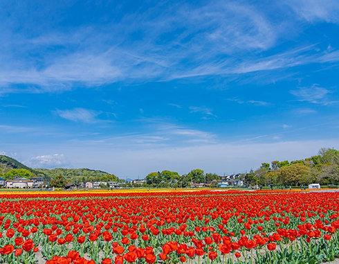 根がらみ前水田公園