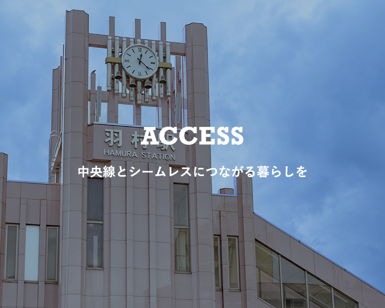 ACCESS