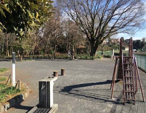 踊子草公園