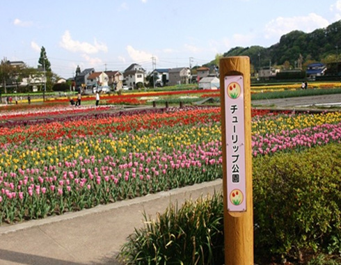 CCC公園