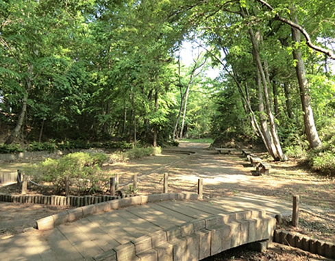 DDD公園