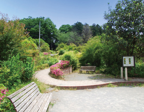 宮前自然公園