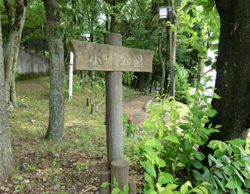 水木公園