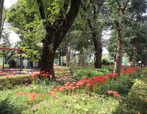 谷保第三公園