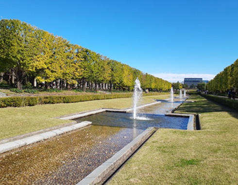 昭和記念公園
