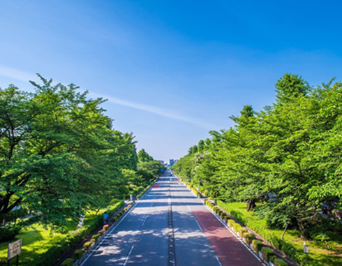 大学通り歩道橋