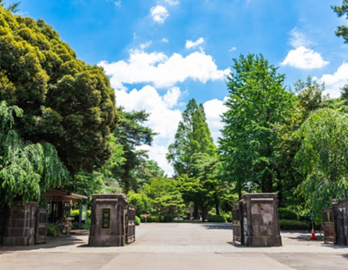 一橋大学