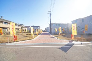 DSC00284