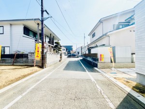 IMG_7546