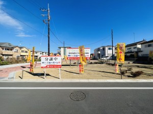 本地 (2)